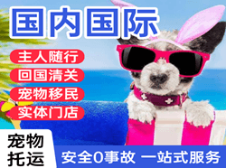 阿荣空运国际宠物托运 【国